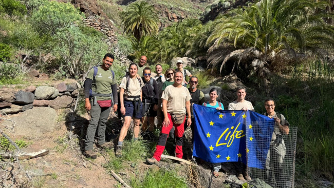 campo