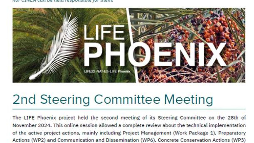 newsletter2